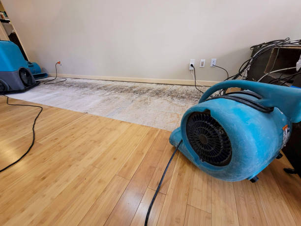 Professional Structural Drying technician working in Mead, NE
